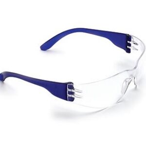 5844553e8eada3719195592cb7dbc77cbadc638d0a283d1c41ae33e59397aef3 Safety Glasses TSUMANI Clear 1600-C 12/box 288/ctn