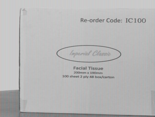 Facial Tissue 100 sheets/box 48/ctn 40ctn/plt