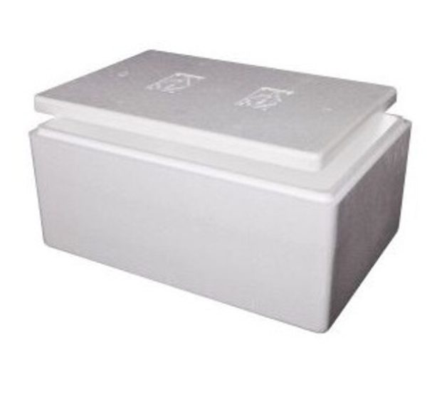 Esky Box & Lid 15KG/39LTR 530x340x220mm(int) MEDIUM ICE BOX