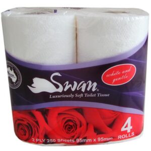 e6c3b29e032eb11fce06c6ea9a4bf8ba29c6c8488df0498d25adbd528f3c3063 Toilet Roll - Toilet Tissue 2ply 250sht/rl 48rls/pk