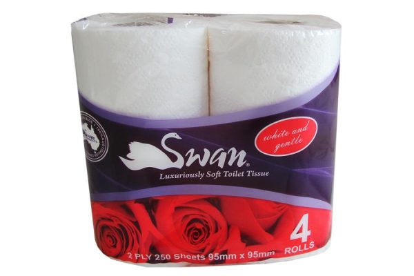 Toilet Roll - Toilet Tissue 2ply 250sht/rl 48rls/pk