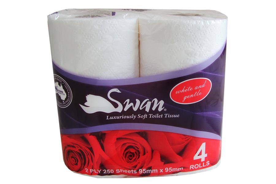 Toilet Roll - Toilet Tissue 2ply 250sht/rl 48rls/pk